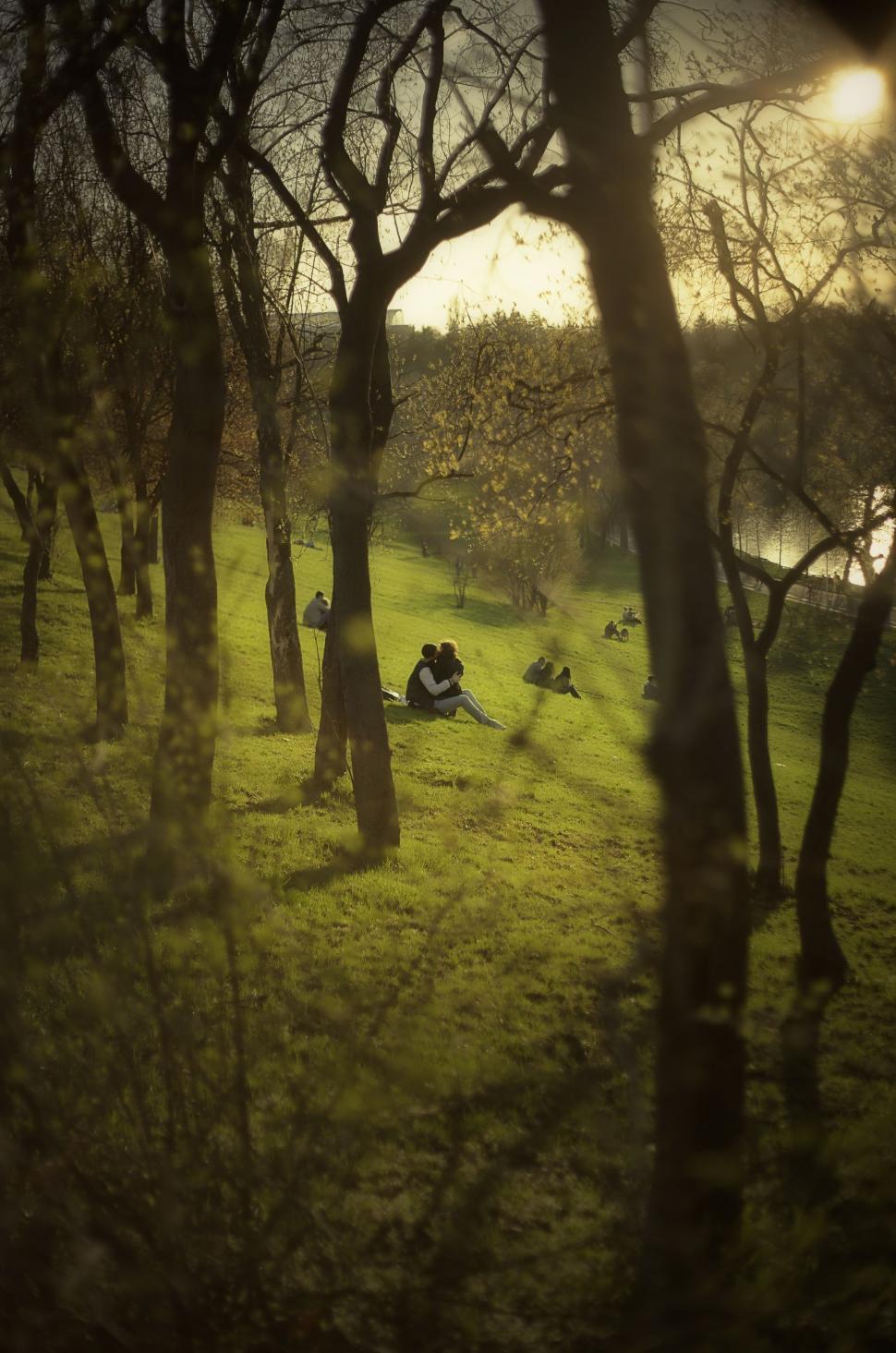 Free Image of Couple\'s Park 